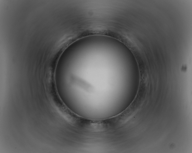 X0000092290744200709281306