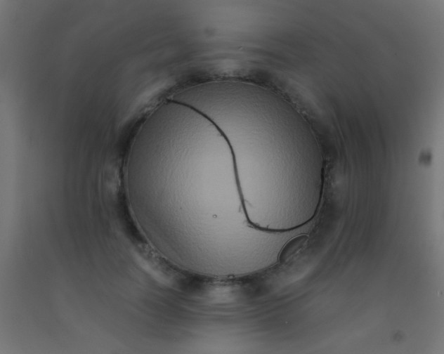 X0000092290746200709281306