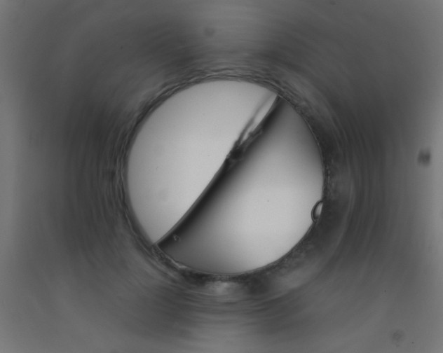 X0000092290748200709281306