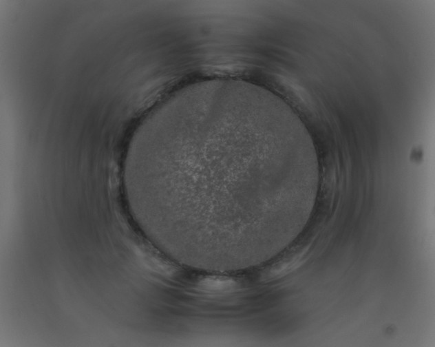 X0000092290749200709281306