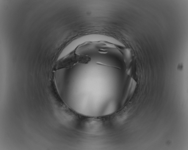 X0000092290750200709281306