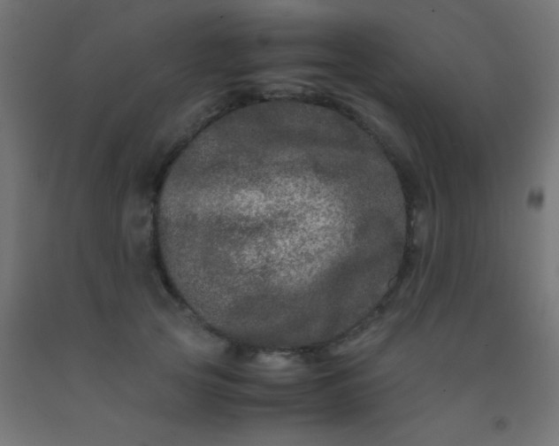 X0000092290753200709281306