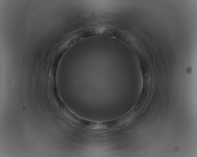 X0000092290754200709281306