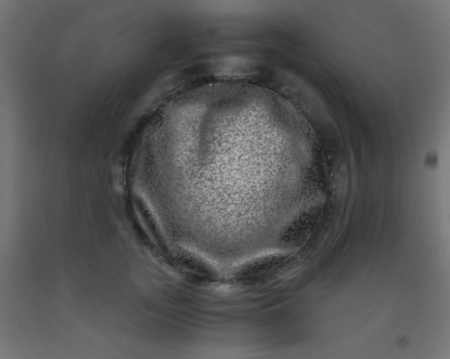 X0000092290755200709281306