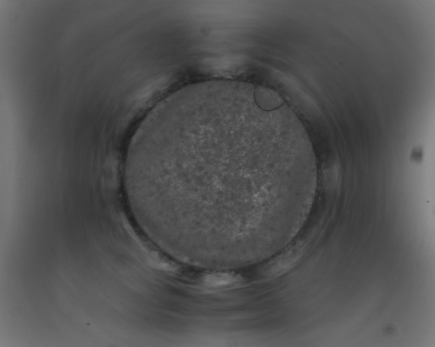 X0000092290757200709281306