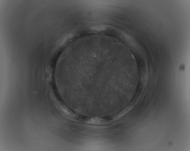 X0000092290758200709281306