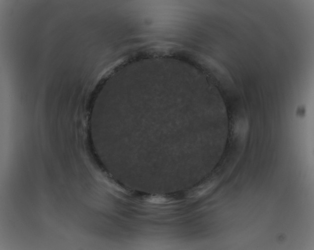 X0000092290759200709281306