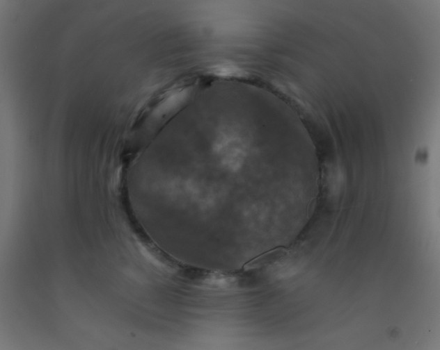 X0000092290760200709281306