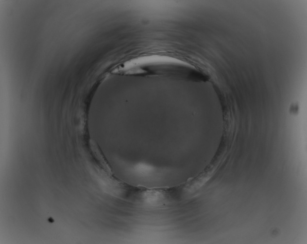 X0000092290762200709281306