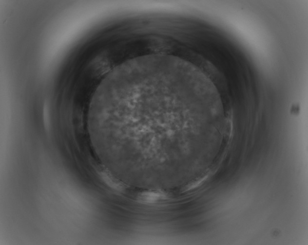 X0000092290765200709281306