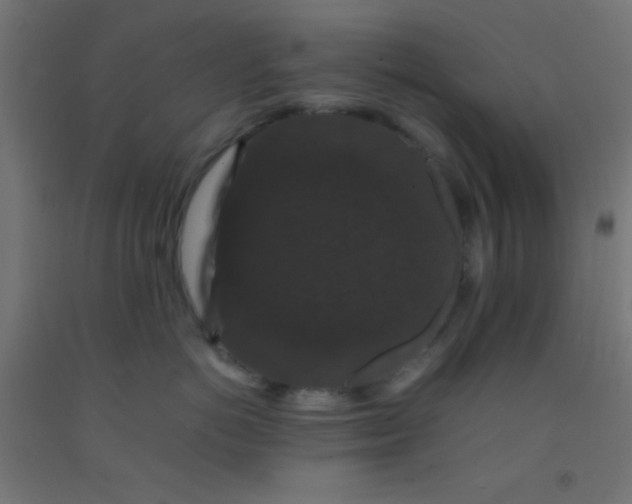 X0000092290766200709281306