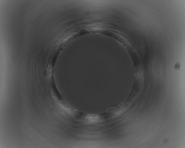 X0000092290767200709281306