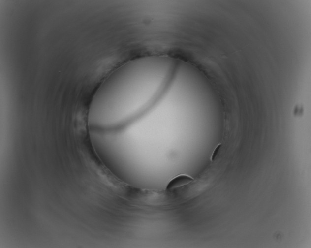 X0000092290768200709281306