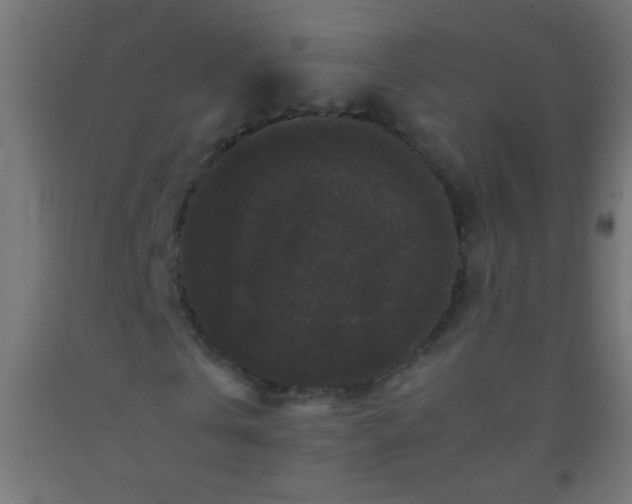 X0000092290769200709281305