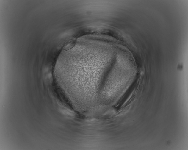 X0000092290771200709281305