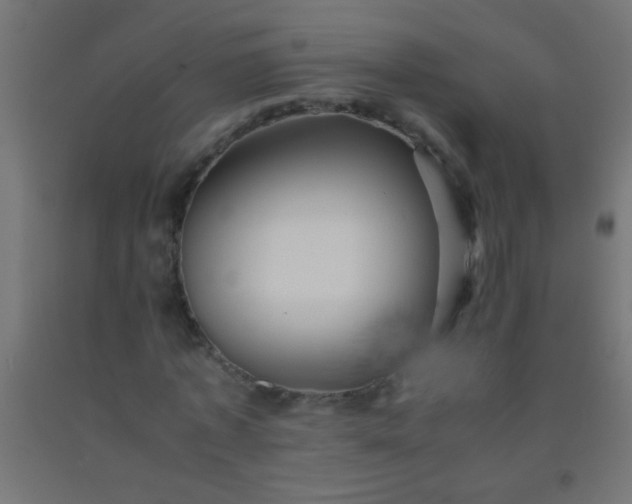 X0000092290773200709281305