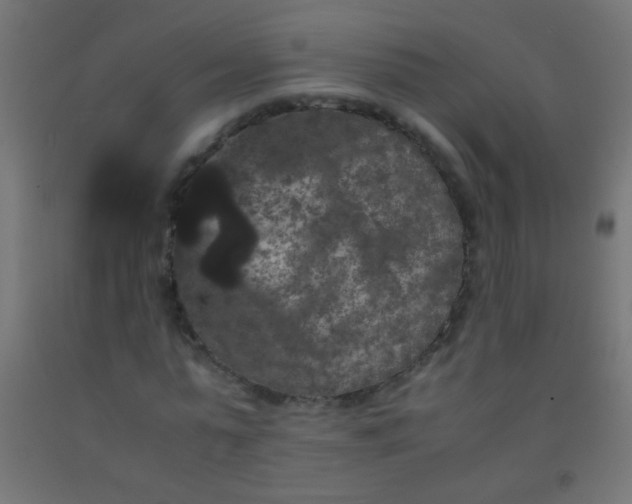 X0000092290775200709281305