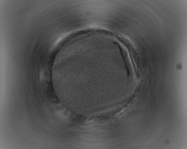 X0000092290776200709281305