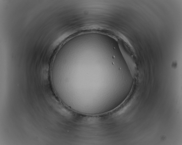 X0000092290778200709281305