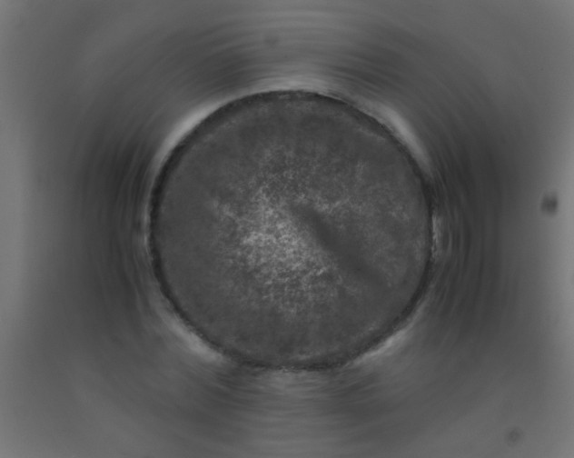 X0000092290780200709281305