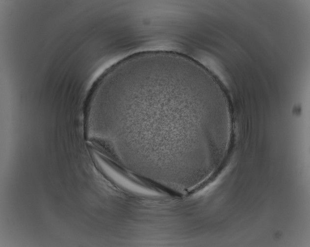 X0000092290781200709281305