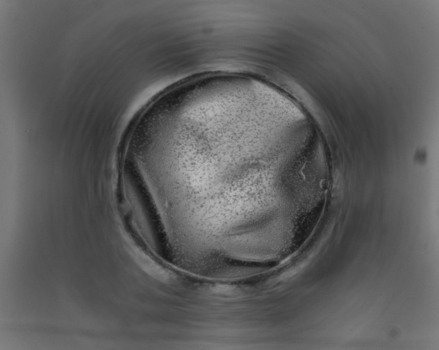 X0000092290787200709281305