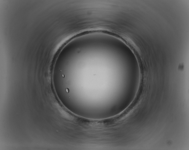 X0000092290789200709281305