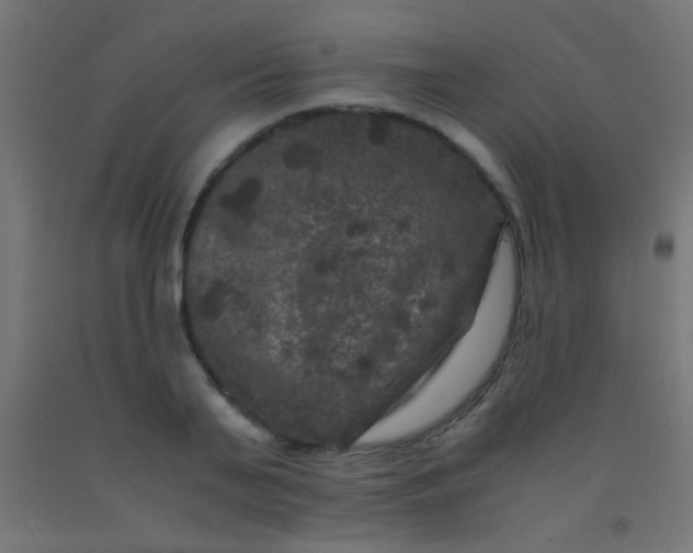 X0000092290791200709281305