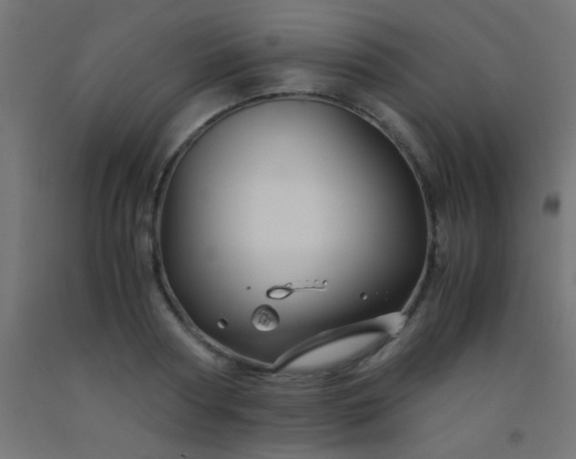 X0000092290794200709281305