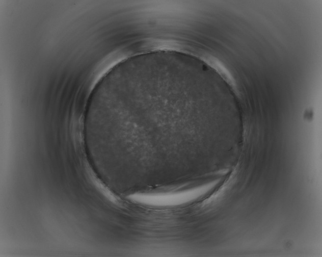 X0000092290798200709281305