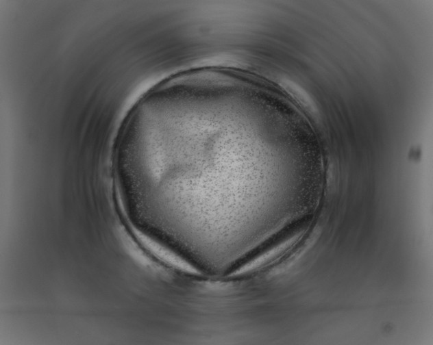 X0000092290800200709281305