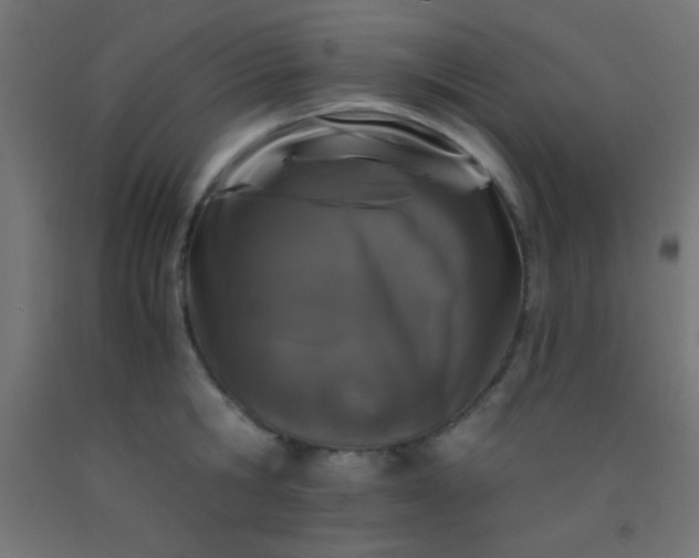 X0000092290806200709281305