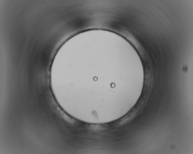 X0000092290807200709281305