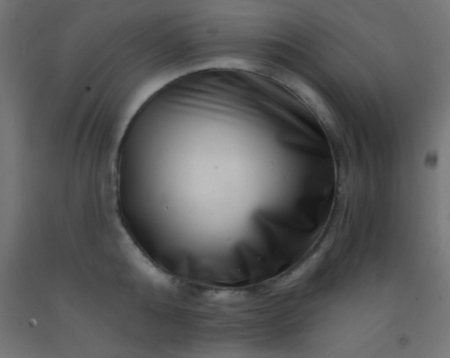 X0000092290808200709281305