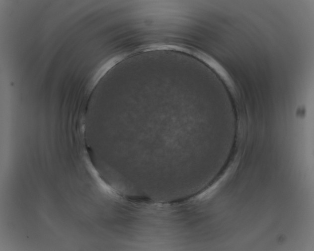 X0000092290809200709281305