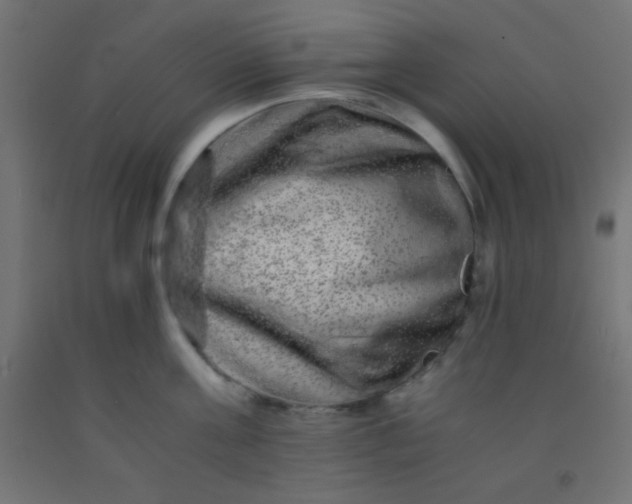 X0000092290811200709281305