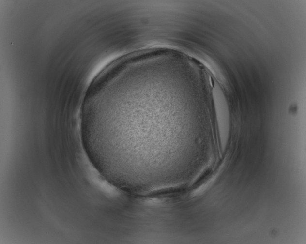 X0000092290814200709281305