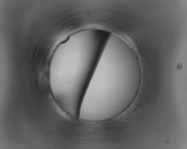 X0000092290816200709281305