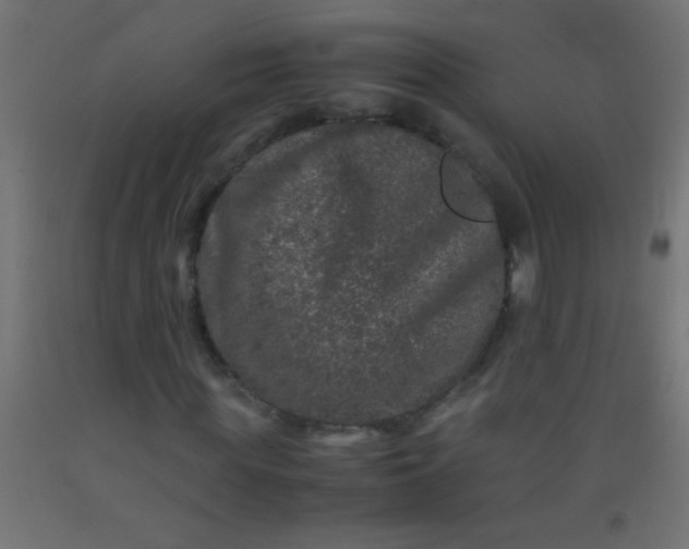 X0000092290819200709281304