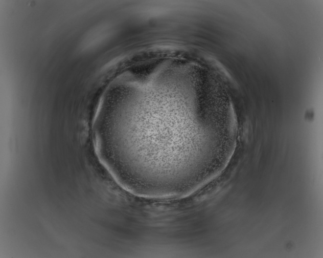 X0000092290821200709281304