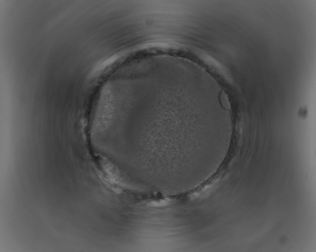 X0000092290822200709281304