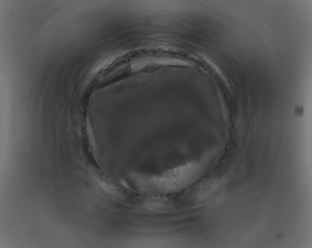 X0000092290823200709281304