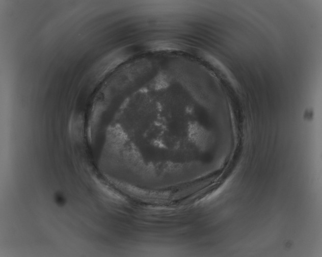 X0000092290825200709281304