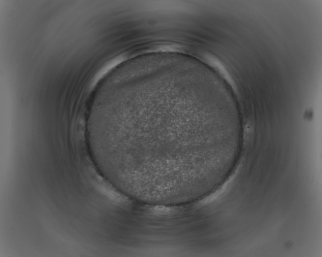 X0000092290827200709281304