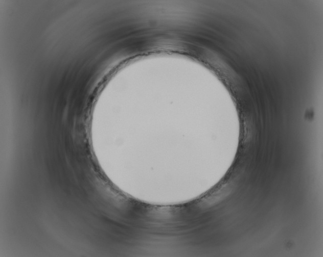 X0000092290828200709281304