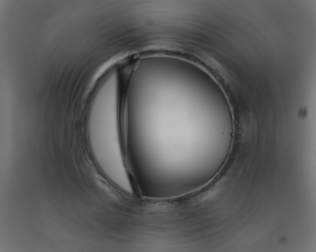 X0000092290830200709281304