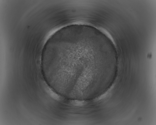 X0000092290831200709281304