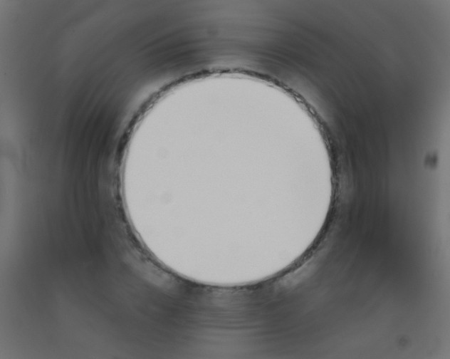 X0000092290832200709281304