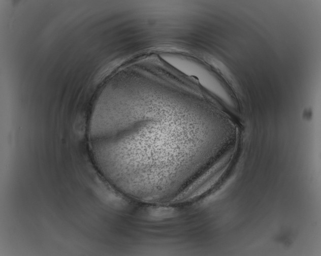 X0000092290833200709281304