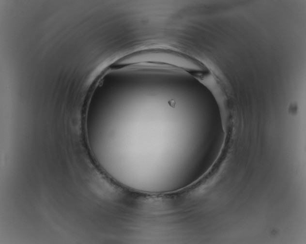 X0000092290834200709281304